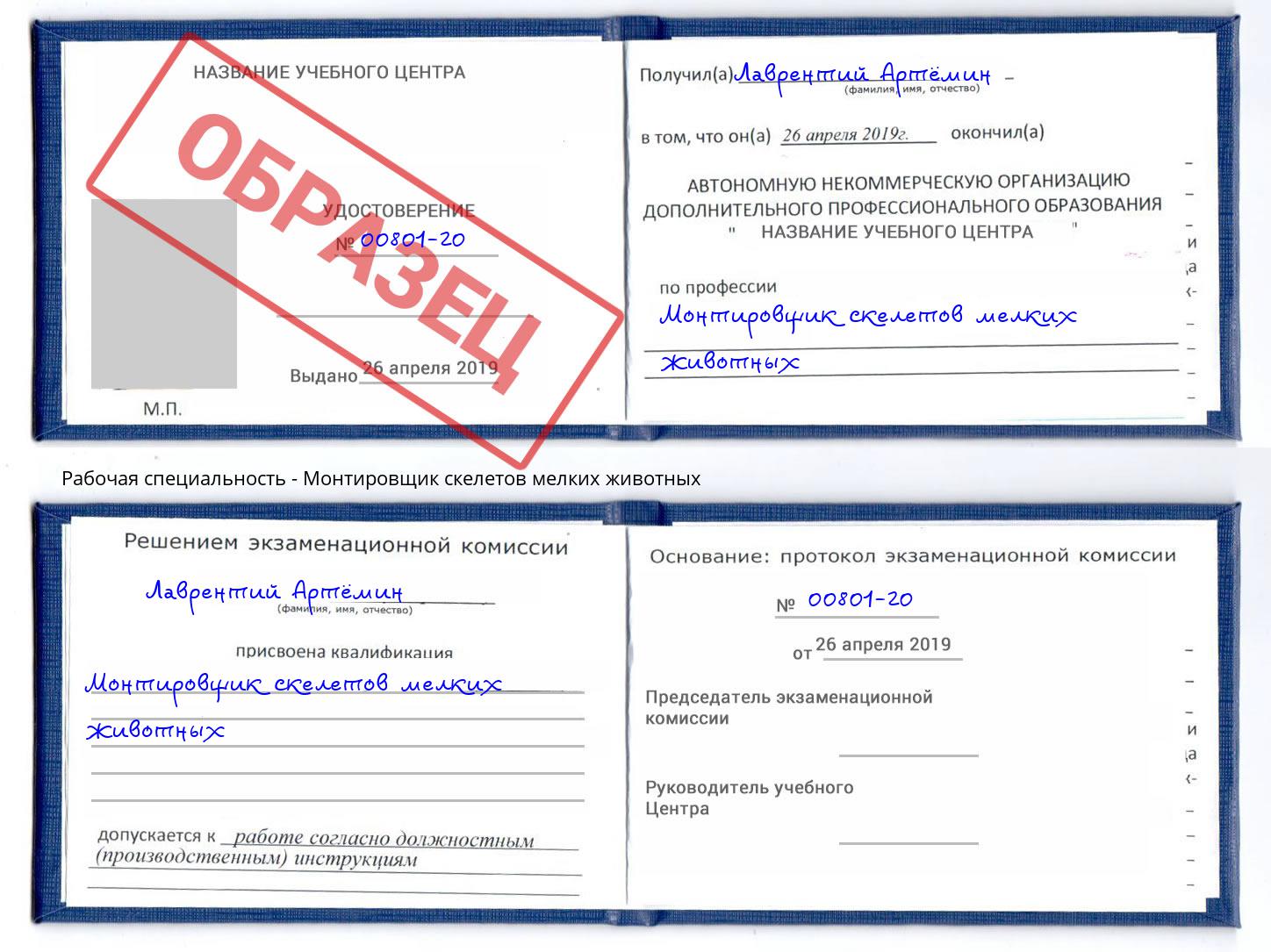 Монтировщик скелетов мелких животных Стерлитамак