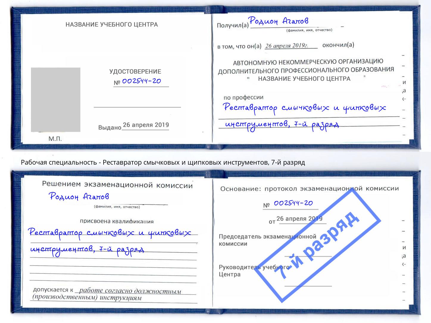 корочка 7-й разряд Реставратор смычковых и щипковых инструментов Стерлитамак