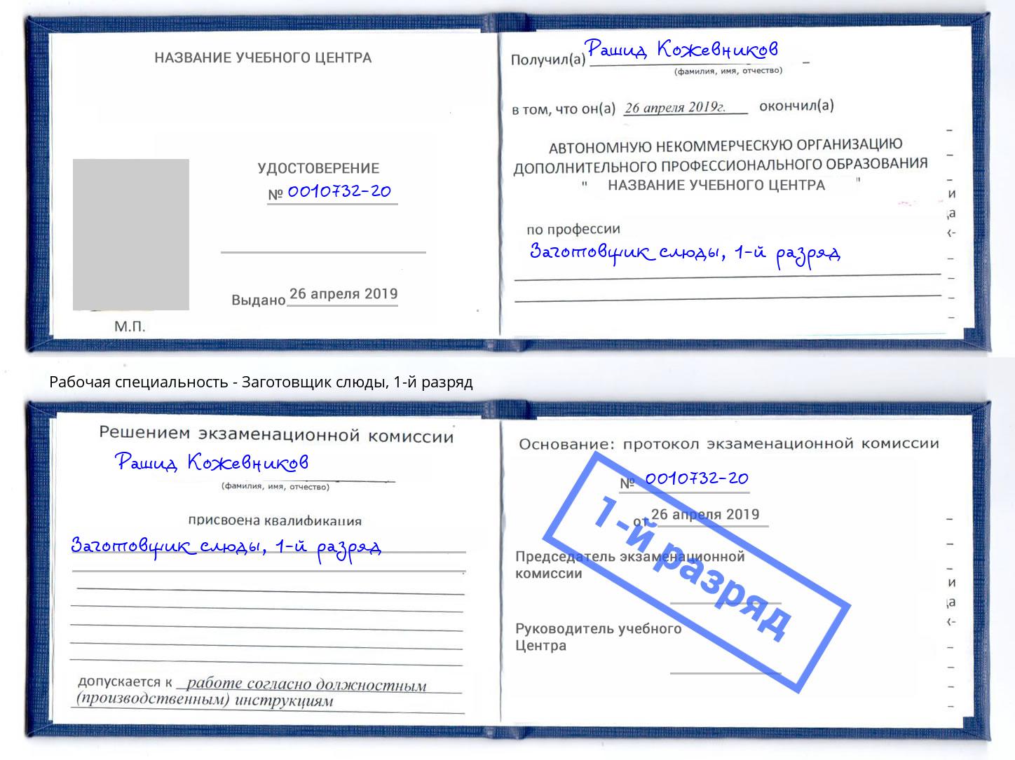 корочка 1-й разряд Заготовщик слюды Стерлитамак